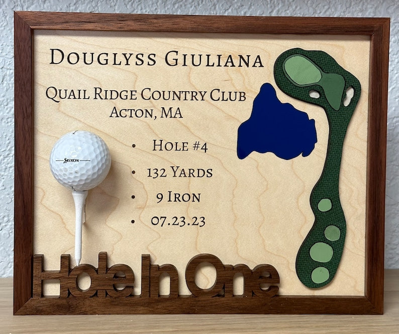 Hole-In-One Display